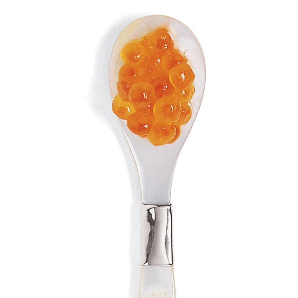 Salmon Caviar on caviar spoon