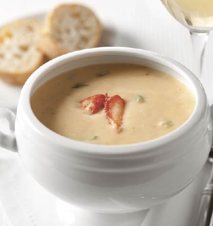 Chicken Noodle Soup